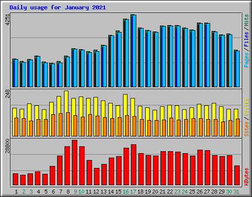 Daily usage for January 2021