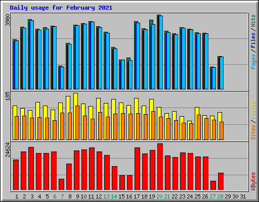 Daily usage for February 2021