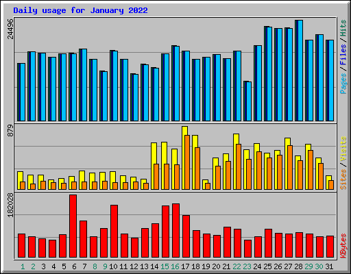 Daily usage for January 2022