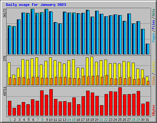 Daily usage for January 2023