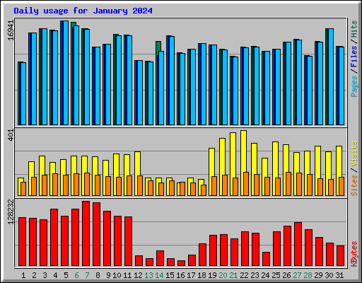 Daily usage for January 2024