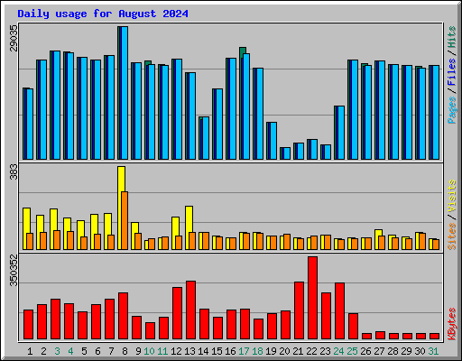 Daily usage for August 2024