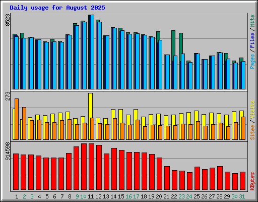 Daily usage for August 2025