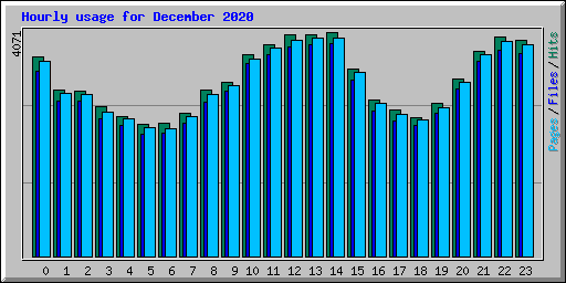 Hourly usage for December 2020