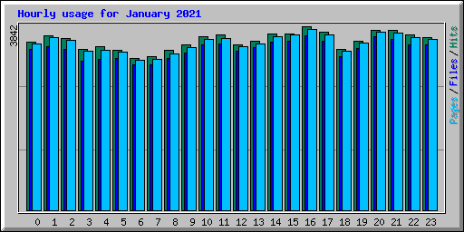 Hourly usage for January 2021