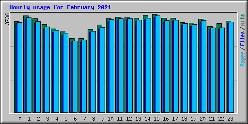 Hourly usage for February 2021