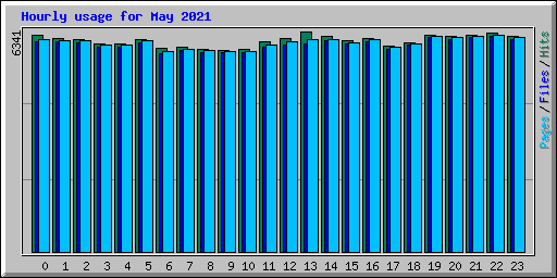 Hourly usage for May 2021