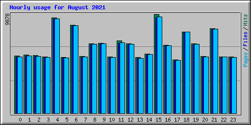 Hourly usage for August 2021