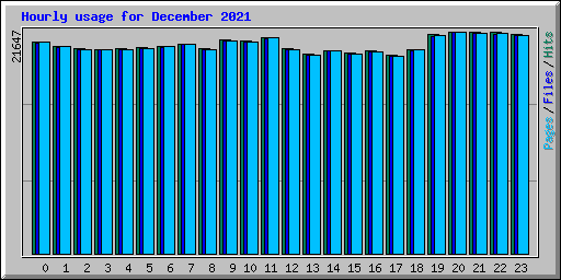 Hourly usage for December 2021