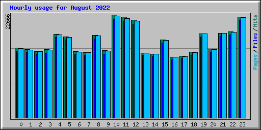 Hourly usage for August 2022