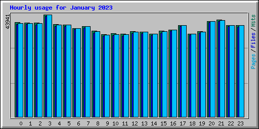 Hourly usage for January 2023