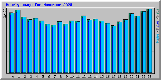 Hourly usage for November 2023