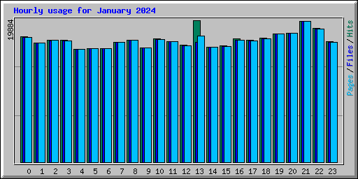 Hourly usage for January 2024