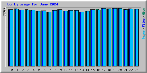 Hourly usage for June 2024