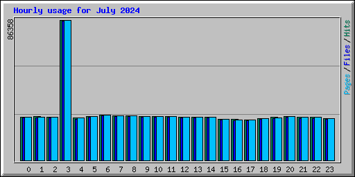 Hourly usage for July 2024