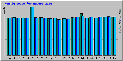 Hourly usage for August 2024