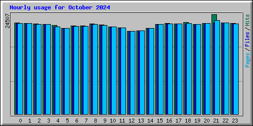 Hourly usage for October 2024