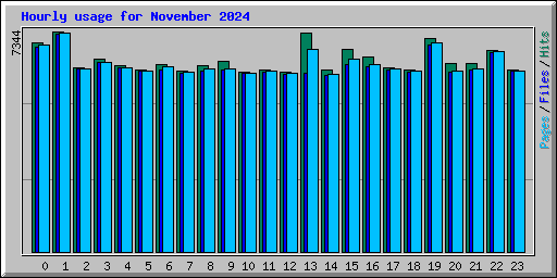 Hourly usage for November 2024