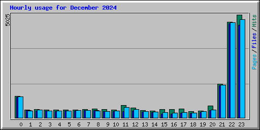 Hourly usage for December 2024