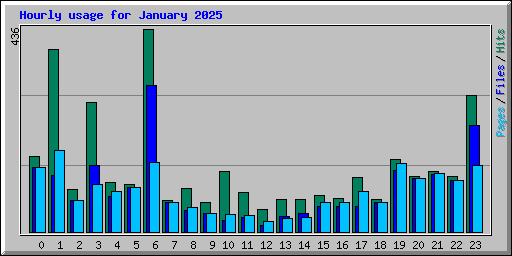 Hourly usage for January 2025