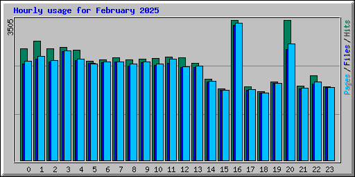 Hourly usage for February 2025