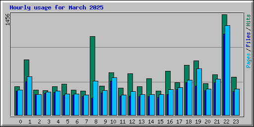Hourly usage for March 2025