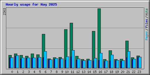 Hourly usage for May 2025
