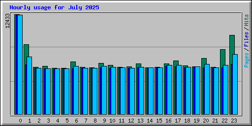 Hourly usage for July 2025