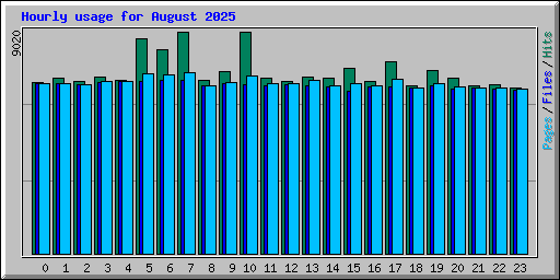 Hourly usage for August 2025