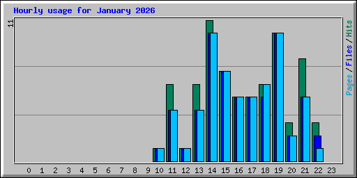 Hourly usage for January 2026
