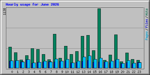 Hourly usage for June 2026
